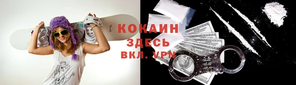 PSILOCYBIN Карталы