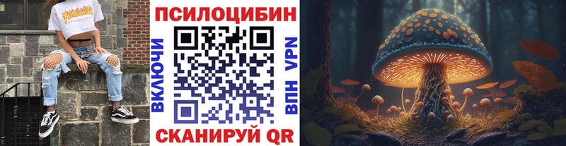 Купить где  Далматово  Псилоцибиновые грибы Cubensis 