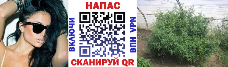 Бошки Шишки AK-47  Купить где  Далматово 